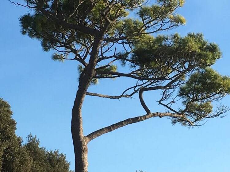 Hotell Newburgh Guesthouse