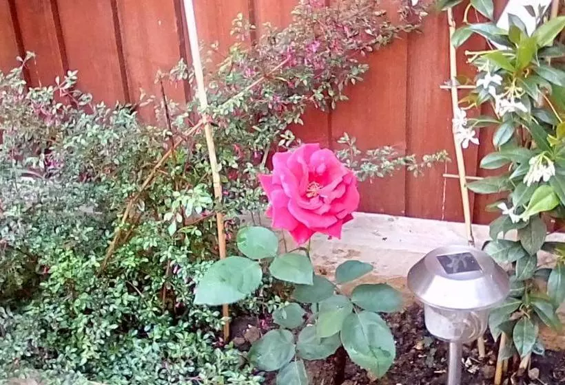 Отель Oaklands House Adults Only