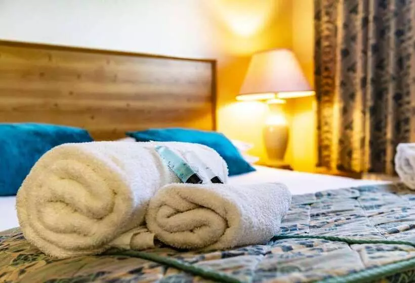 Отель Paddington House