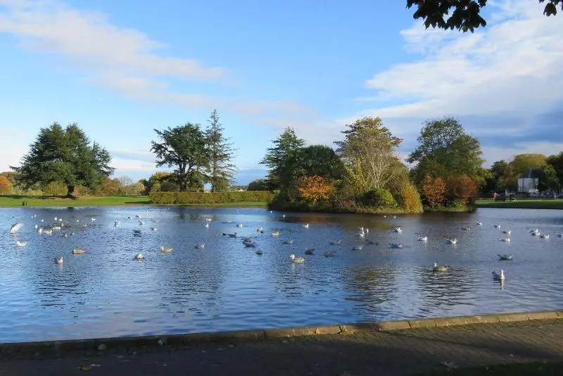 酒店 West End Guest House