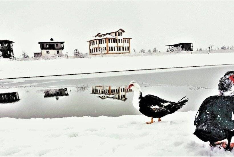 酒店 Serife Baci Ogretmenevi Doga Kultur Koyu