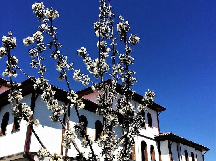 酒店 Serife Baci Ogretmenevi Doga Kultur Koyu