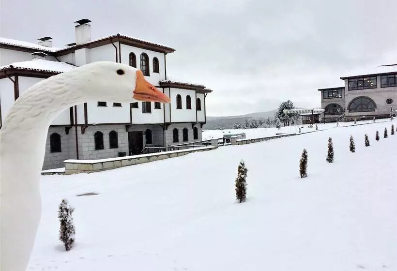 هتل Serife Baci Ogretmenevi Doga Kultur Koyu