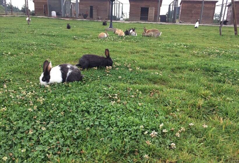 酒店 Serife Baci Ogretmenevi Doga Kultur Koyu