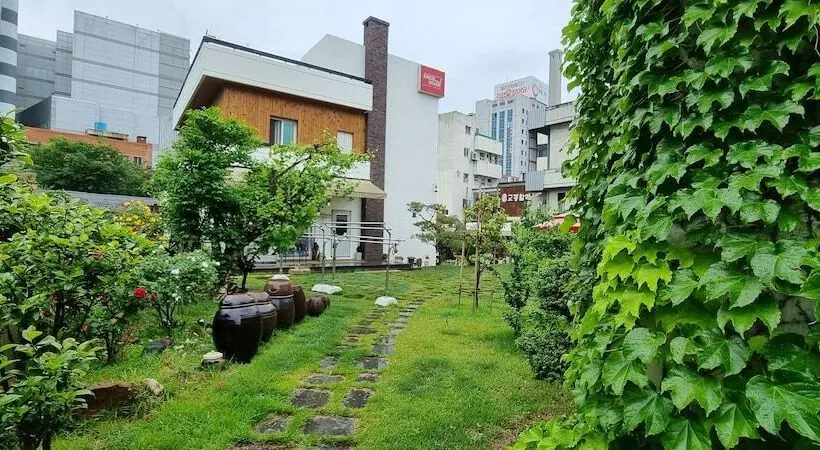 Daegu House   Hostel