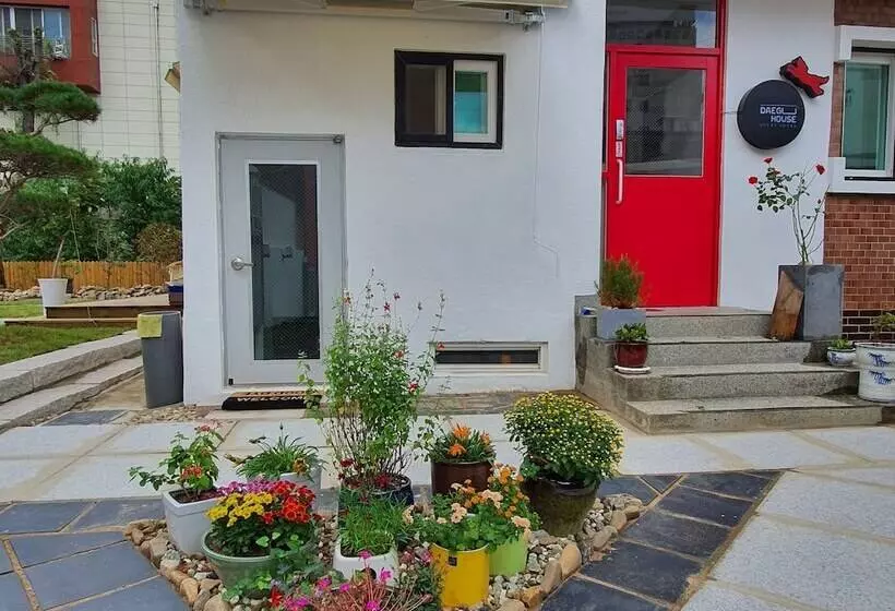Daegu House   Hostel
