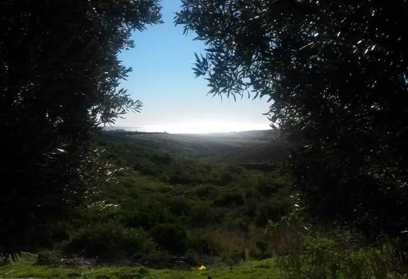 Finca Baeza Flores