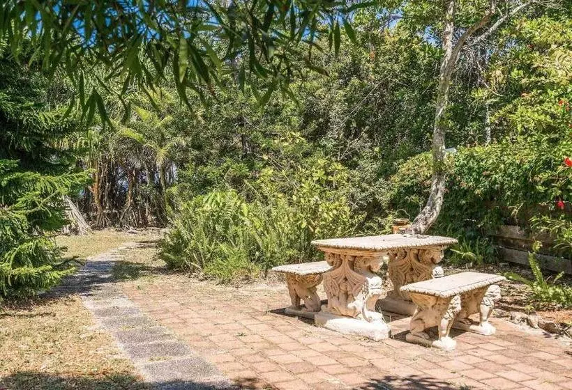Gigi S Absolute Beachfront