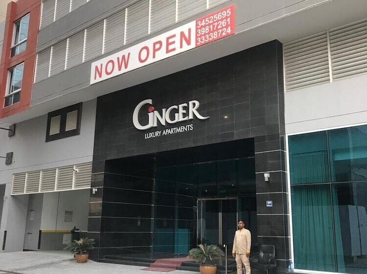 Ginger Luxury Apartments