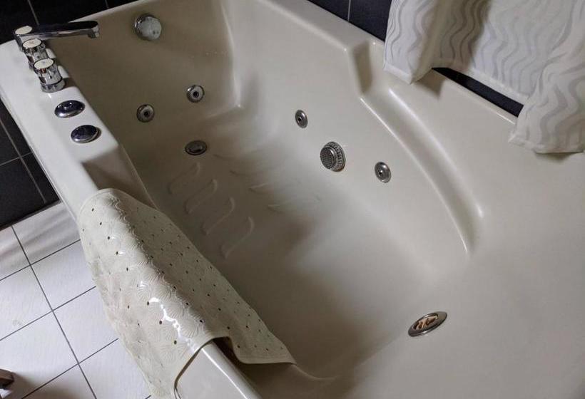 Fotos del hotel Kevin Business:  8