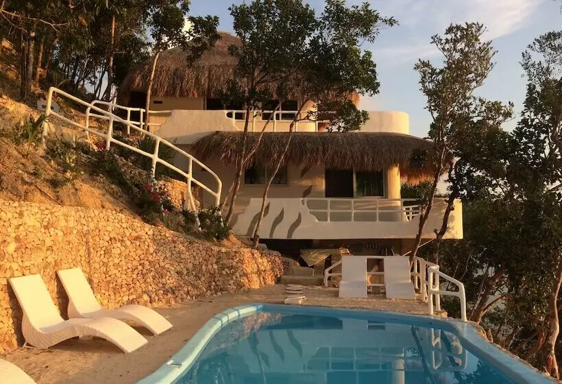 ホテル Pearl Bay Villas