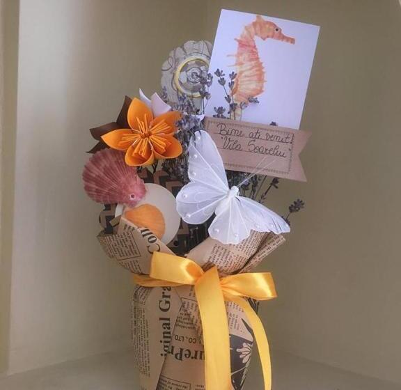 پانسیون Vila Casa Esy