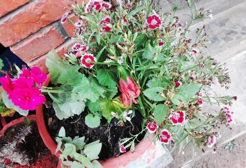 تختخواب و صبحانه Kayastha Restaurant & Lodge