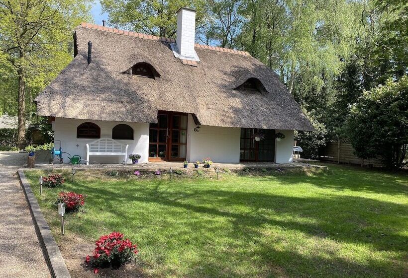 Exclusive Holiday Home In Uelsen With Conservatory