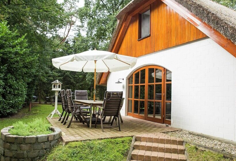 Exclusive Holiday Home In Uelsen With Conservatory