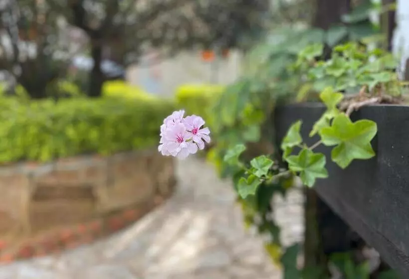 ホテル Casona Del Virrey