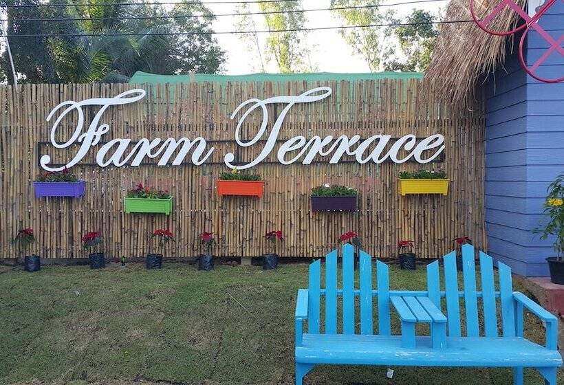 בית מלון כפרי Farm Terrace