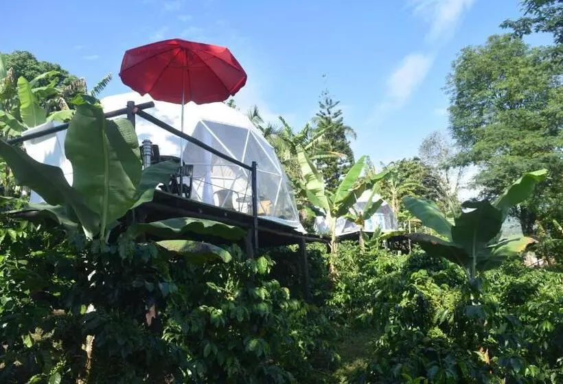 ホテル Hostal Fisterra
