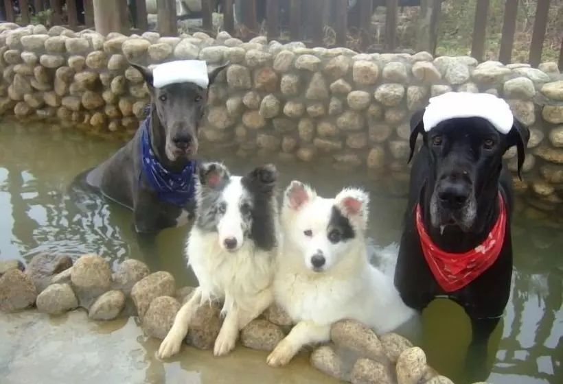 ホテル Partners House Yuasa