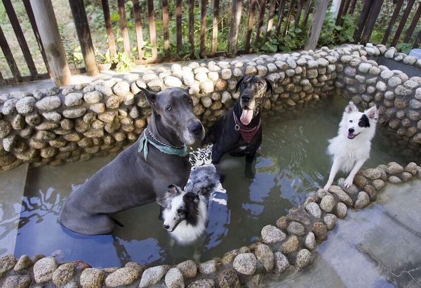 בית מלון כפרי Partners House Yuasa