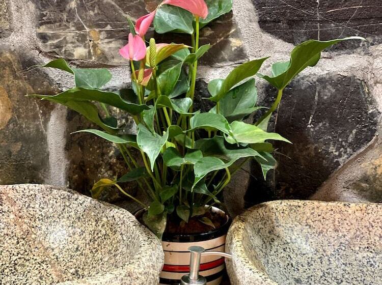 هتل Tam Coc Dibi Villa