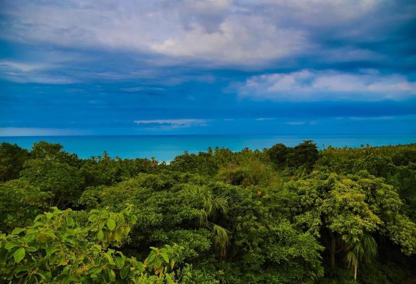 هتل Villa Maria Tayrona, Jungle And Sea Experience