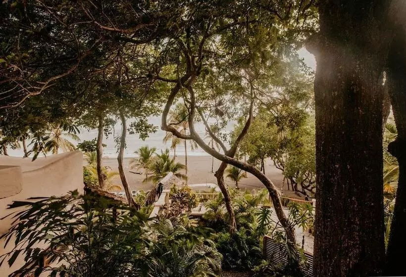 Sansara Surf Yoga & Resort