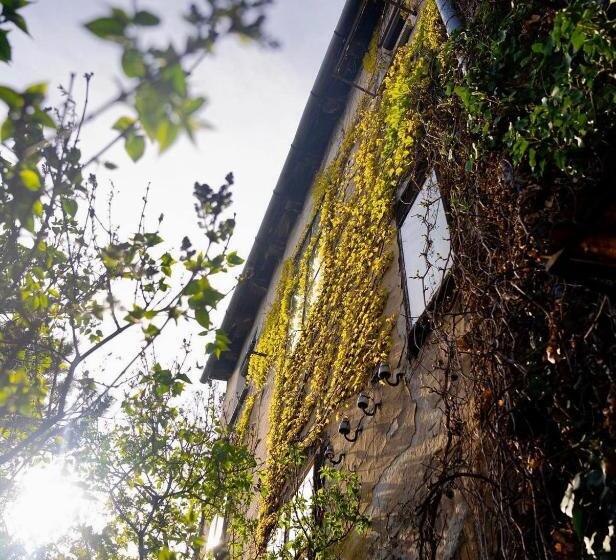 Street Food Possonium Apartments