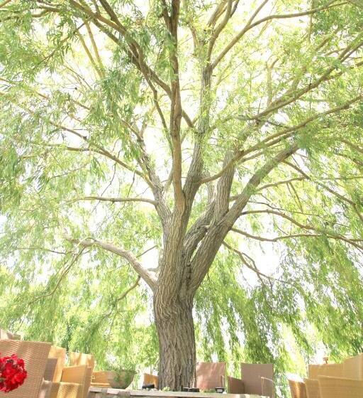 Green Place Portoroz Rc