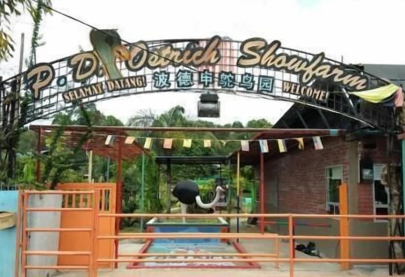 هتل Mtv Pd Resort