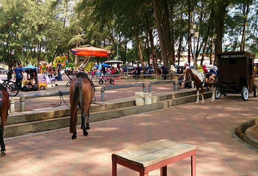 هتل Mtv Pd Resort