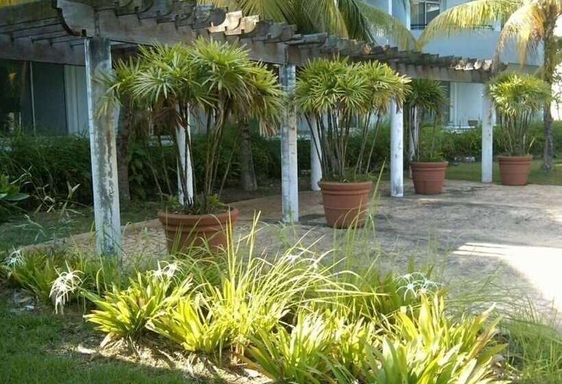 هتل Mtv Pd Resort