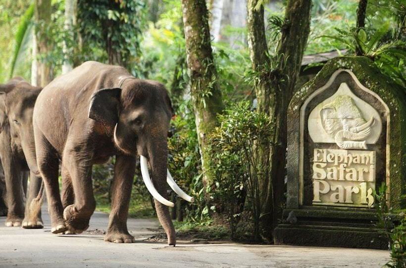 فندق Suarapura Resort & Spa