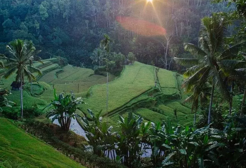 ホテル Suarapura Resort & Spa