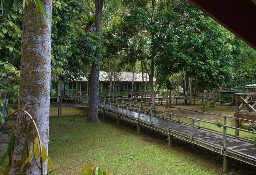 Hotel Sukau Greenview Bed & Breakfast