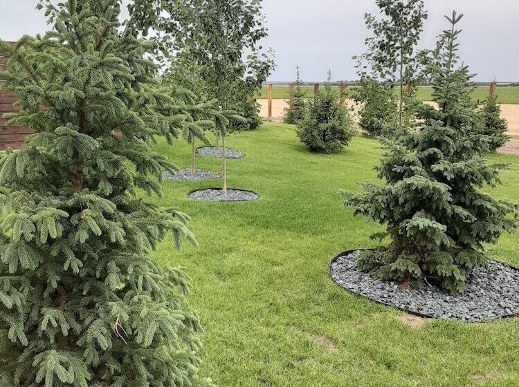 هتل Best Western Plus Dauphin