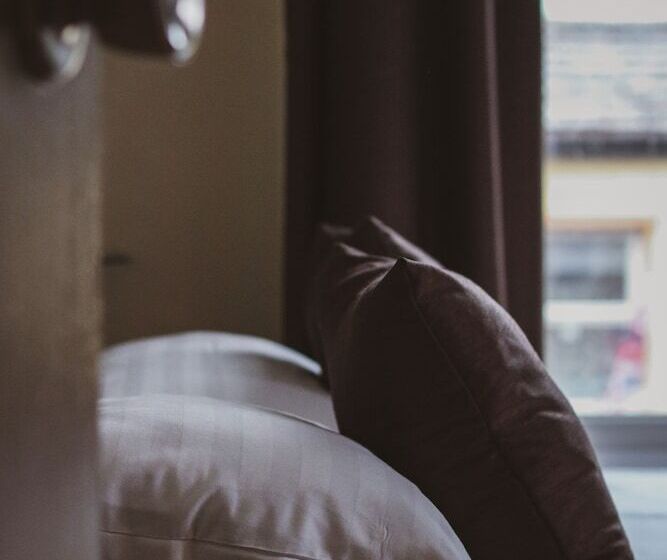 بنسيون Herriot S