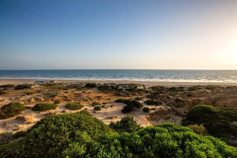 Hipotels Barrosa Palace & Spa