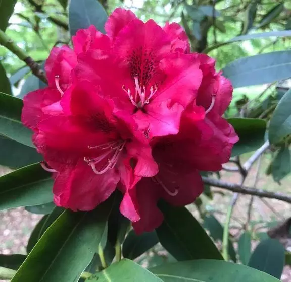 酒店 Beryl Country House