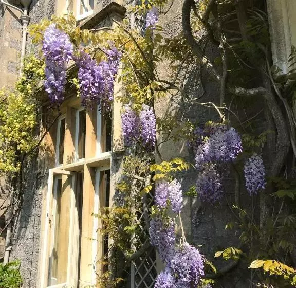 酒店 Beryl Country House