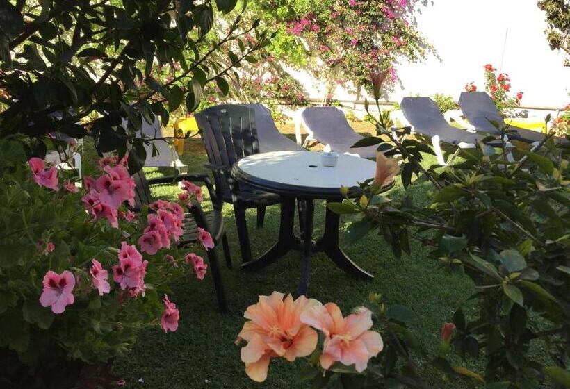 فندق Carmen Teresa