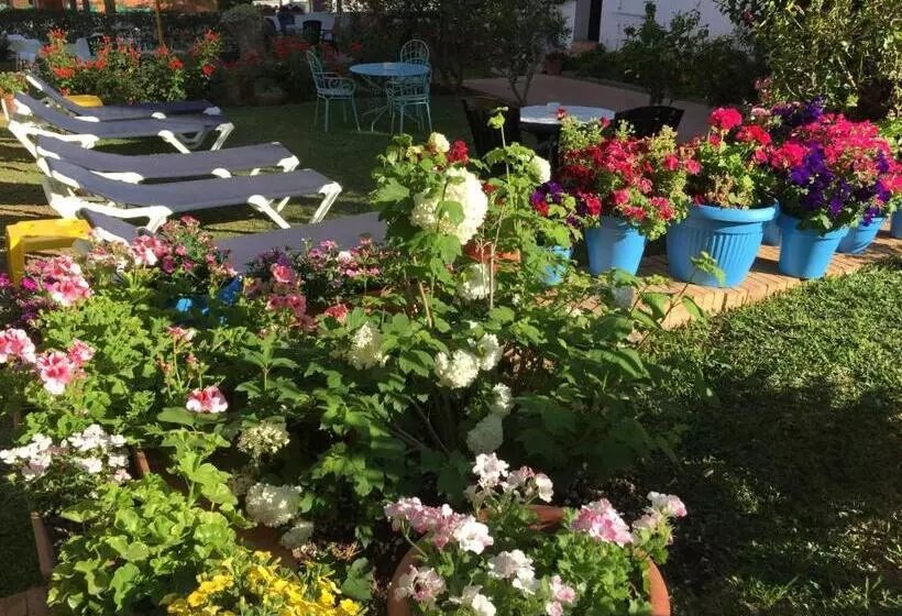 호텔 Carmen Teresa