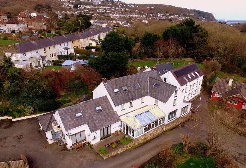 호텔 Ivybridge Guesthouse