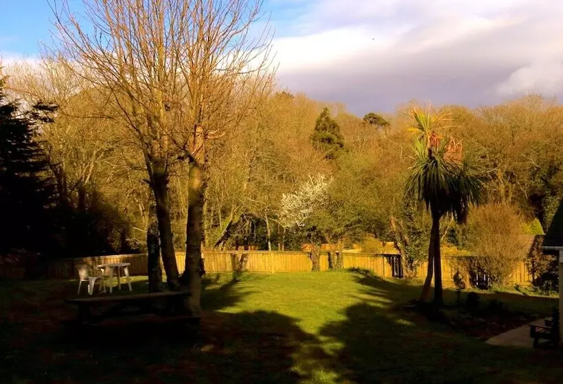 호텔 Ivybridge Guesthouse