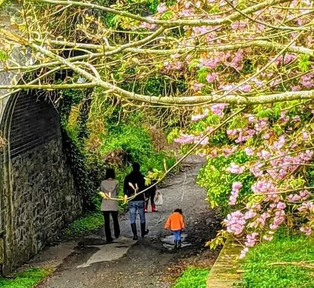 호텔 Ivybridge Guesthouse