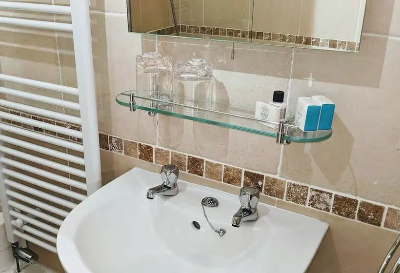 호텔 Ivybridge Guesthouse