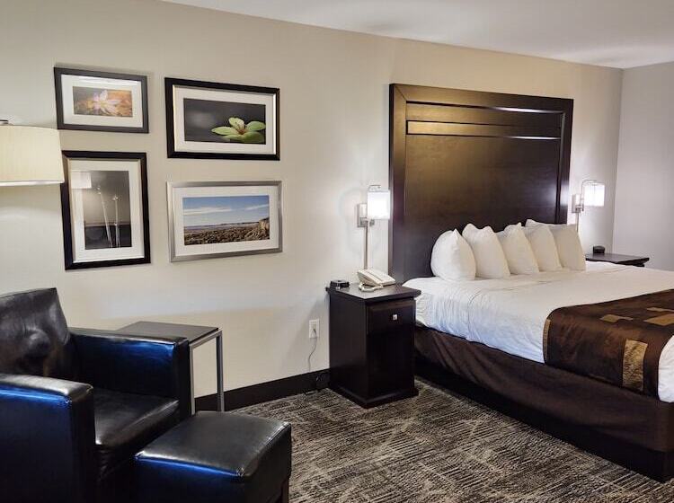 Otel Kelly Inn Billings