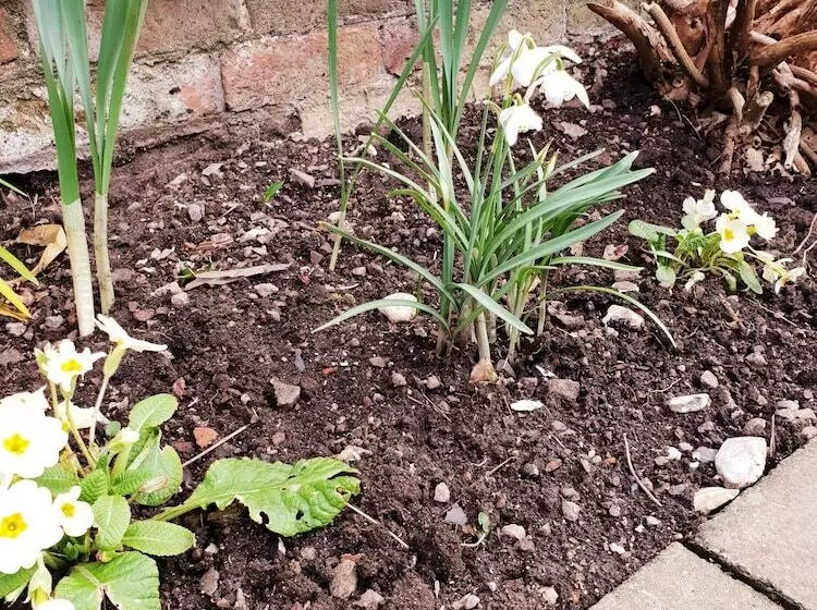 호텔 Orles Barn Guest House