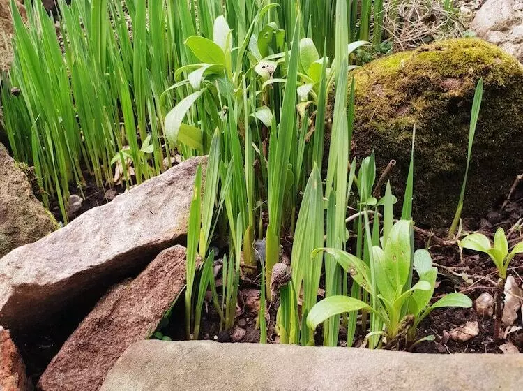 호텔 Orles Barn Guest House