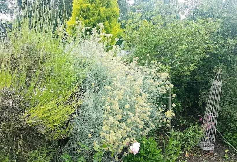 호텔 Orles Barn Guest House